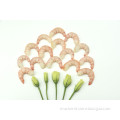 /msite/products/detail/productid/59329237/id/650128.html